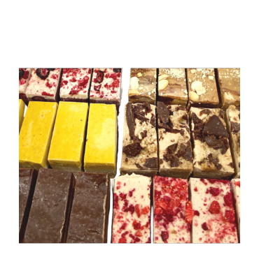 Citrus Slice 1 pack